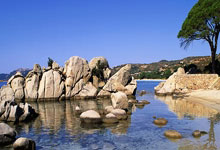 切尔西热身赛中奋勇争先，猛揽五连胜