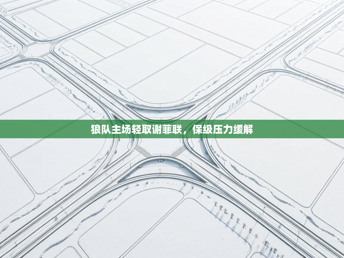 狼队主场轻取谢菲联，保级压力缓解  第2张