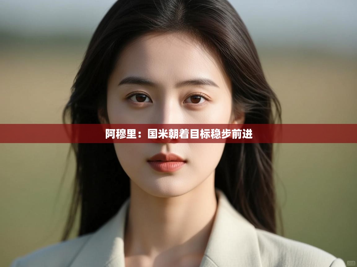 阿穆里:国米朝着目标稳步前进 第2张