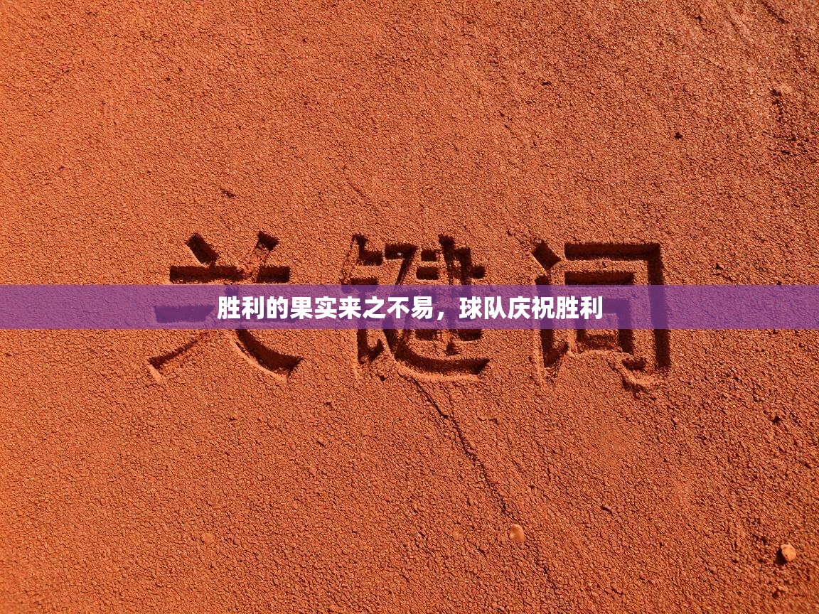 胜利的果实来之不易，球队庆祝胜利  第2张