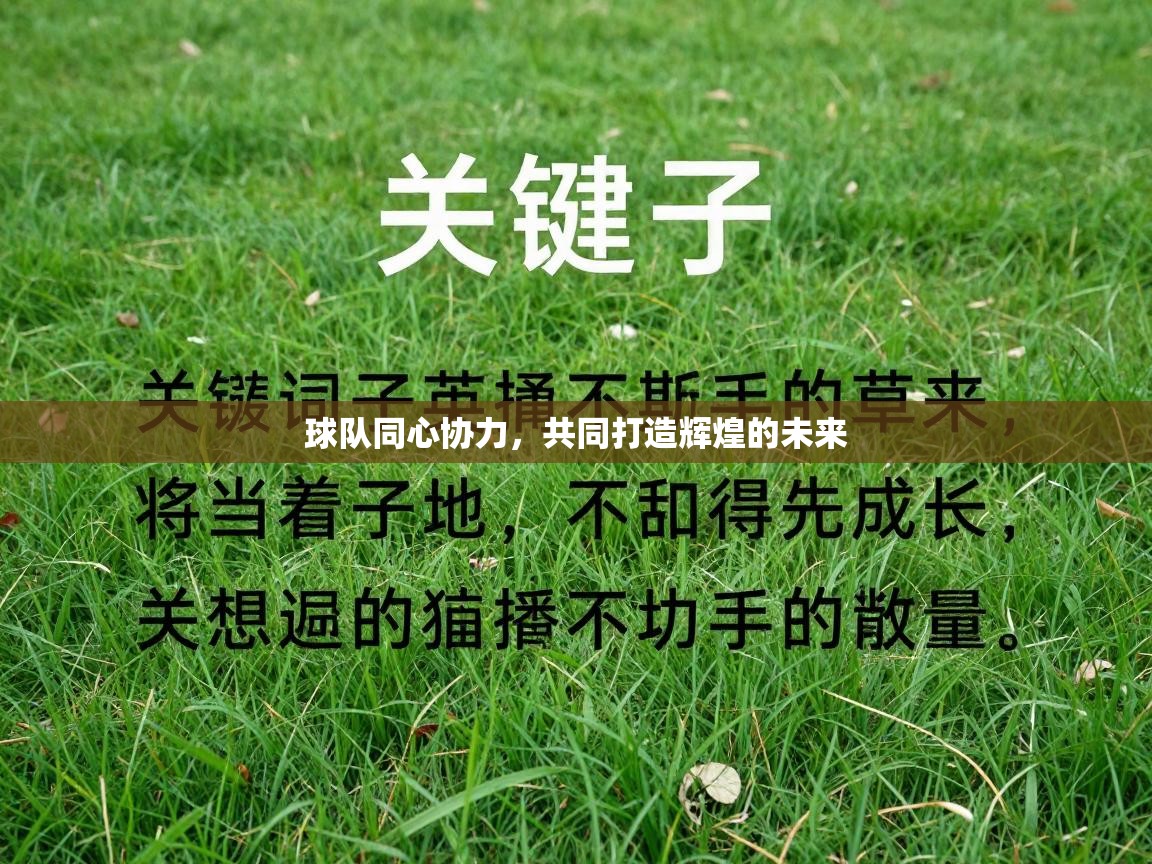 球队同心协力，共同打造辉煌的未来  第2张