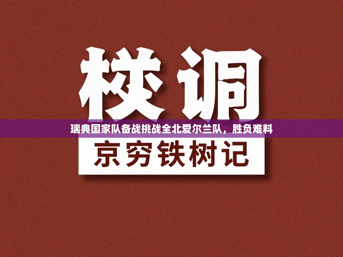 瑞典国家队备战挑战全北爱尔兰队,胜负难料 第1张