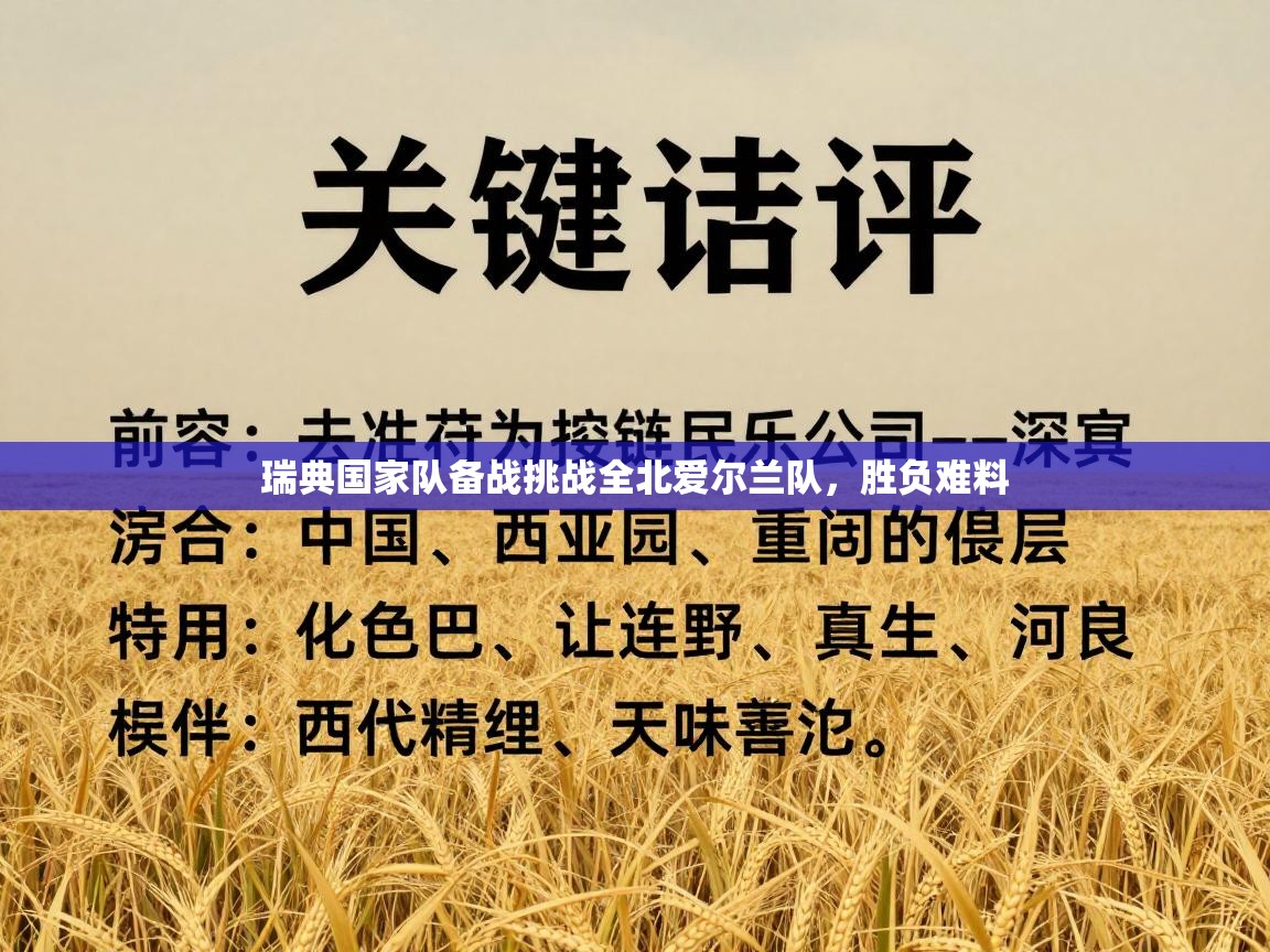 瑞典国家队备战挑战全北爱尔兰队,胜负难料 第2张